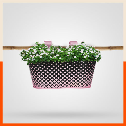 DIA Hanging Metal Pot Holders / Planters for Home / Balcony / Garden | Blush